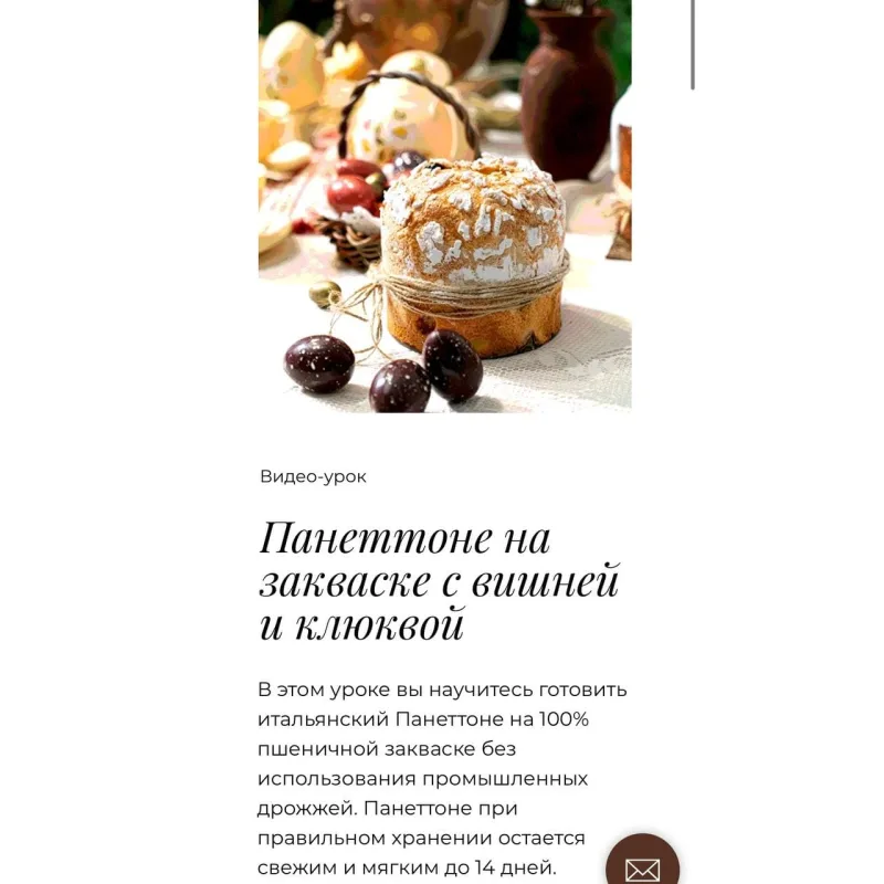 Панеттоне на закваске с вишней и клюквой (Людмила Букина)