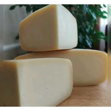 Российско-голландская группа сыров (Марина Каманина)