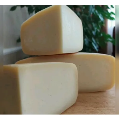 Российско-голландская группа сыров (Марина Каманина)