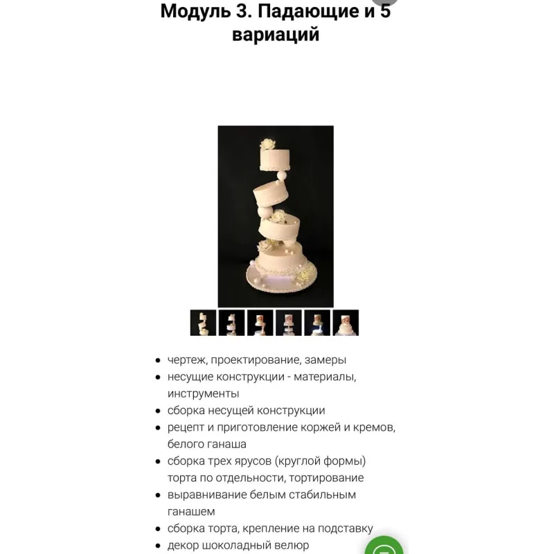 Мой первый свадебный сезон (Татьяна Шкода)