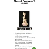 Мой первый свадебный сезон (Татьяна Шкода)