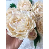 Весенний курс. Тариф - Продвинутый (Екатерина Завирюха)