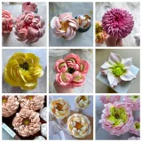 [lobachevavkus] Курс по зефирной флористике  «Всё в зефире». Тариф сертификат (Мария Владимировская)