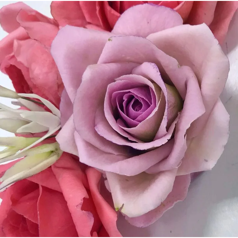 Шокофлористика. Тариф «Хочу максимум» (Art.torte)