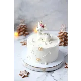 Новогодний курс «Magic Box» (Ильзира Карагузина)