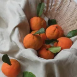 Видеоурок "Мандарины" (Виктория Углева)