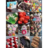 Уроки Gift Cookies с 1 по 499 (gift_cookies)