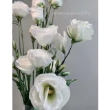 Курс "Осенний" (Татьяна Ефремова)