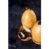 [Pastry is magic] Пасхальный онлайн урок «Птичье молоко» (Нина Тарасова)