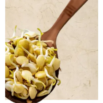 Online - практикум Проростки-челлендж. Профессионал (Ольга Зингер)