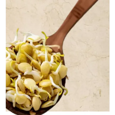 Online - практикум Проростки-челлендж. Профессионал (Ольга Зингер)