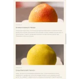Картошка 2.0 (Ксения Хохлова)