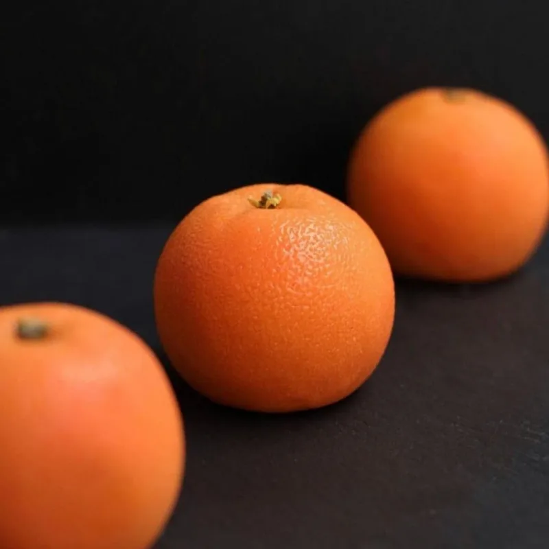 Кондитерский марафон 2.0 (Динара Касько)