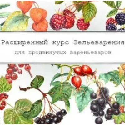 [dom_ulitki] Курс зельеварения "Осенняя Кладовая" (Ирина Таро)