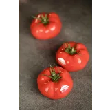 Онлайн-Курс по Корпусным пирожным "FlavorSculpt" (natashaladka)