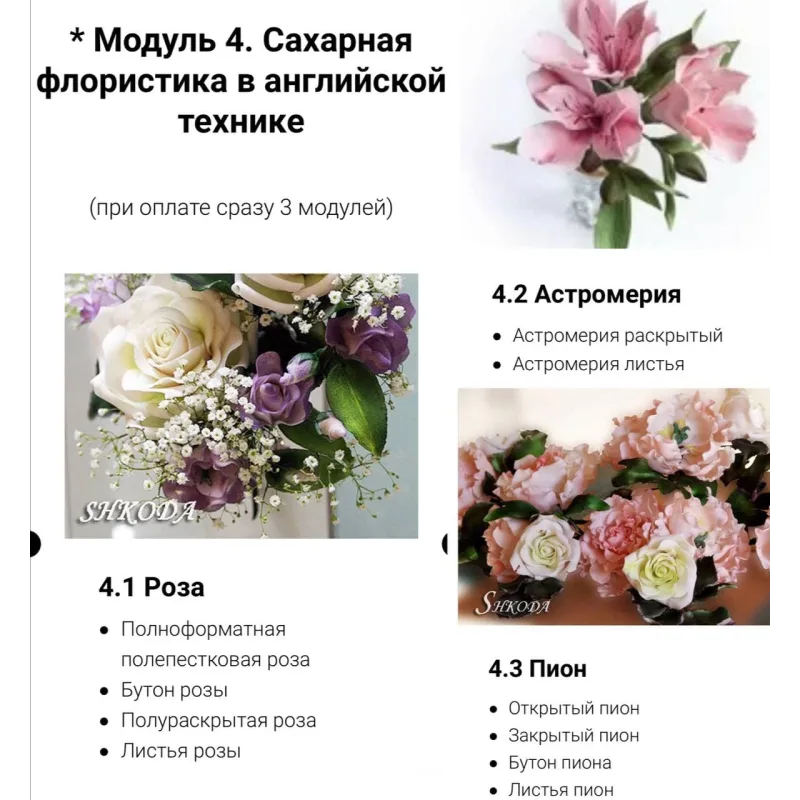 Мой первый свадебный сезон (Татьяна Шкода)