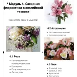 Мой первый свадебный сезон (Татьяна Шкода)