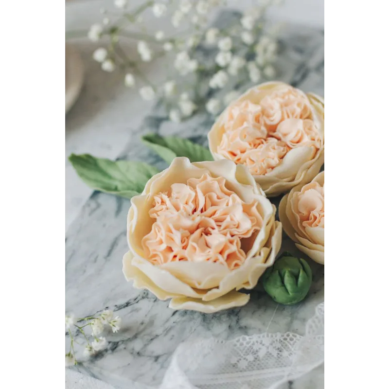 Весенний курс. Тариф - Продвинутый (Екатерина Завирюха)