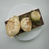 [galka_nova] Курс "Шоколадная флористика" (Галина Иванова)