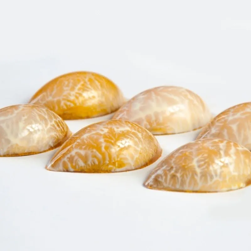 Начинающий шоколатье (Полина Филимонова, Pauline School)