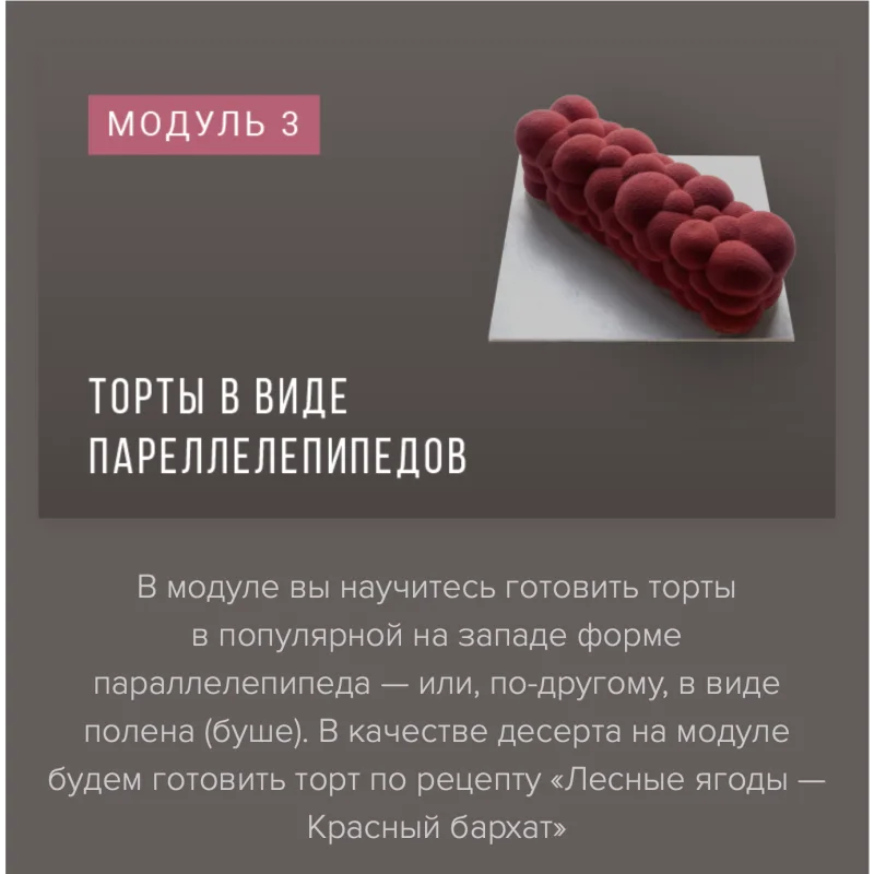 Курс «Муссовые пирожные и торты фантазийных форм» (Ираида Корягина)