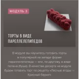 Курс «Муссовые пирожные и торты фантазийных форм» (Ираида Корягина)