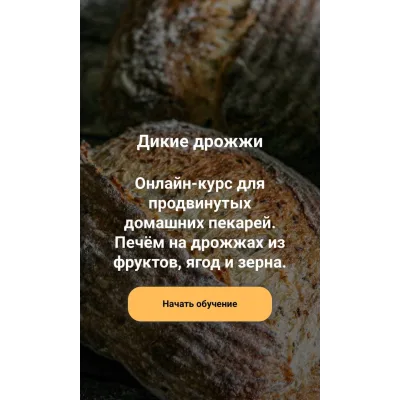 Дикие дрожжи (Ахмед Али-заде, Ольга Ткаченко)