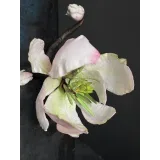 Онлайн-курс "Роспись тортов и вафельный декор" 2 ступень (Лилит Аракелян)