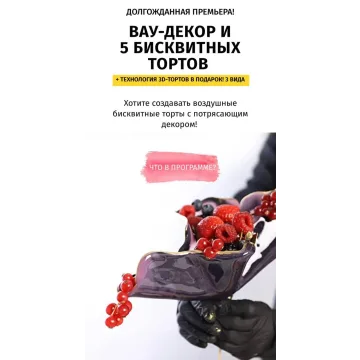 Вау-декор и 5 бисквитных тортов с поддержкой (Егор Козловский, Egor.Team, Даяна Лус)