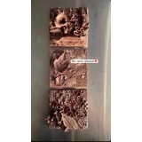 Вебинар "Шоколадные текстуры" (Lyubov Ki, cakeit_nsk)