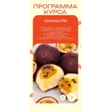 Корпусные пирожные. Летняя коллекция (Кристина Лова)
