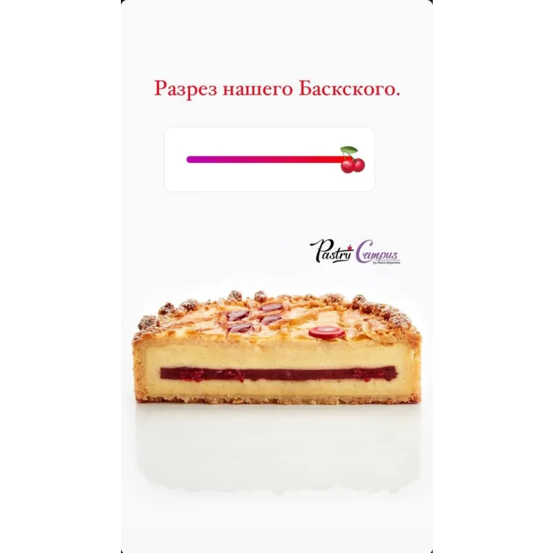 Пикник в большом городе (Мария Селянина, PastryCampus)