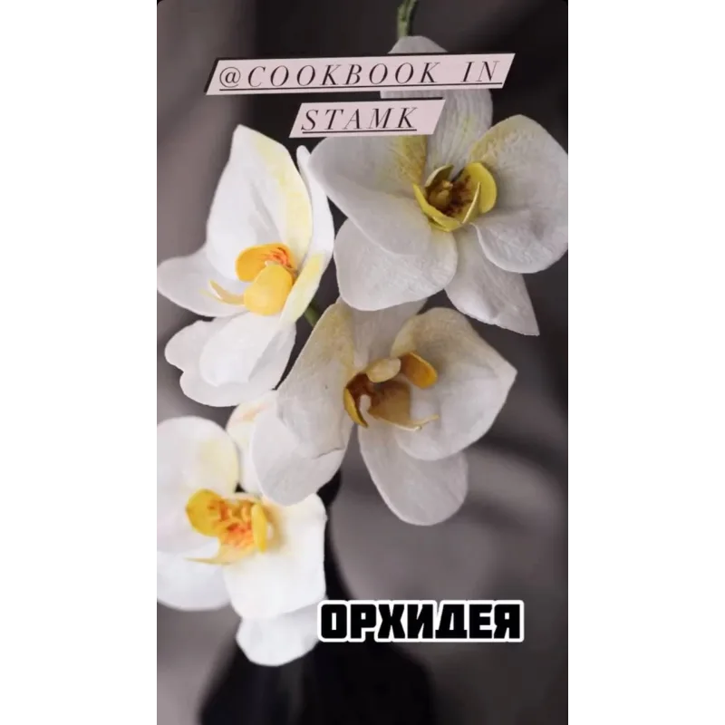 Вафельная флористика (cookbook_insta)