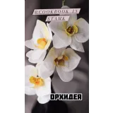 Вафельная флористика (cookbook_insta)