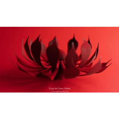 Шоколадный цветок (Ханс Овандо)