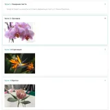 [Cake pro] Онлайн-курс "Экзотические цветы" (Елена Решетняк)