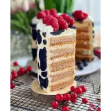 Сборник видеоуроков "6 медовиков" (gift_cookies)