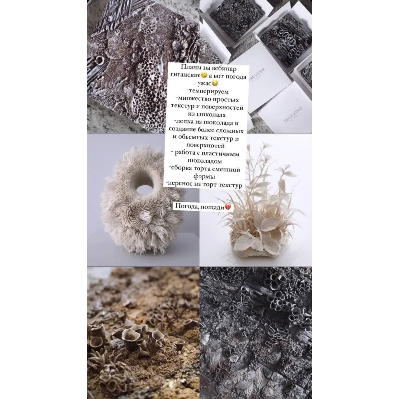 Вебинар "Шоколадные текстуры" (Lyubov Ki, cakeit_nsk)