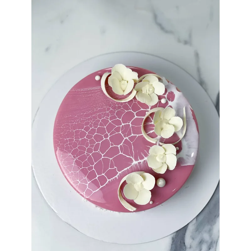 Курс по муссовым тортам и нарезным пирожным (Ольга Шмукста)