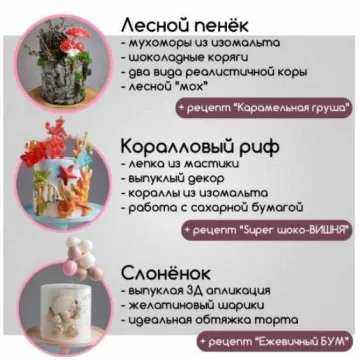 Курс ИНТЕНСИВ для кондитеров (Даяна Лус)