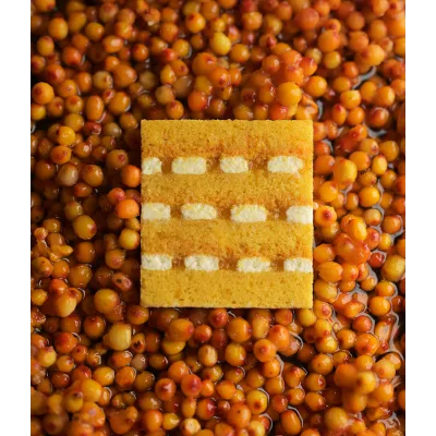 [cakeit_nsk] Рецепт торта «total облепиха» (Любовь Ки)