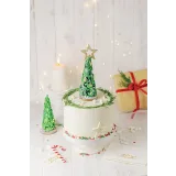 Новогодний курс (Екатерина Завирюха)