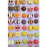 [Zero cake school] Моти конструктор. Тариф С обратной связью (Светлана Шубина)