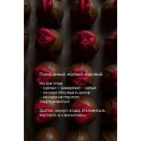 Курс КартоФАН (Ольга Маличава)