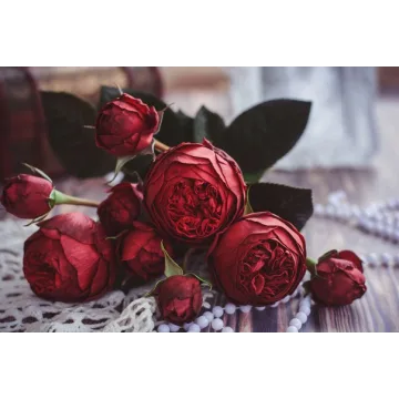 [IreneBloomArt]  Кустовая пионовидная роза «Red Piano» из зефирного фоамирана (Ирина Тхоривская)