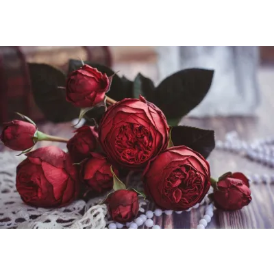 [IreneBloomArt]  Кустовая пионовидная роза «Red Piano» из зефирного фоамирана (Ирина Тхоривская)