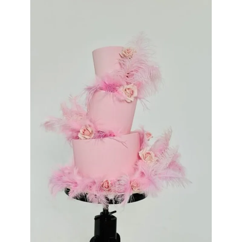 Антигравитация: Большой курс. Тариф Магистр гравитации (Евгения Волошина)