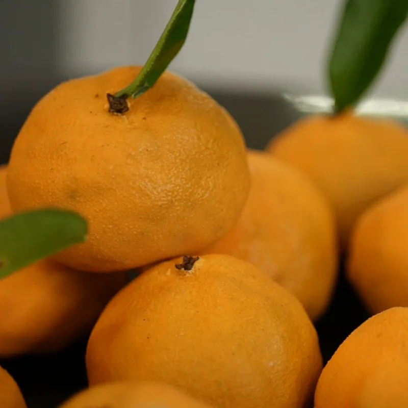 Видеоурок "Мандарины" (Виктория Углева)