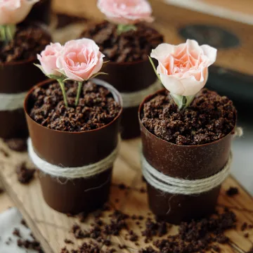 Мамин цветок (Ксения Нохрина)