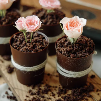 Мамин цветок (Ксения Нохрина)